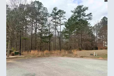 92 Cannonade Court, Irmo, SC 29063 - Photo 3