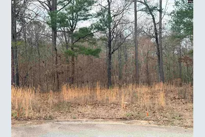 92 Cannonade Court, Irmo, SC 29063 - Photo 5