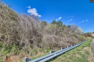 0 Smallstown Rd, Winnsboro, SC 29180 - Photo 11