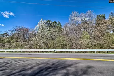 0 Smallstown Road, Winnsboro, SC 29180 - Photo 9