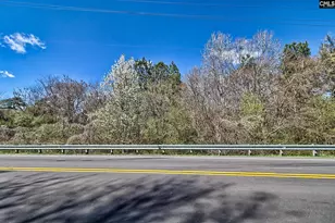 0 Smallstown Rd, Winnsboro, SC 29180 - Photo 9