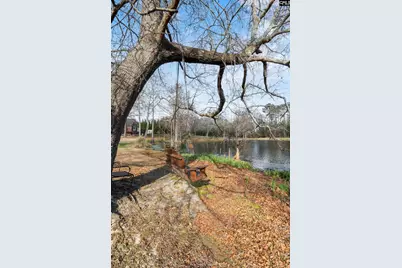 619 Barr Rd, Lexington, SC 29072 - Photo 77