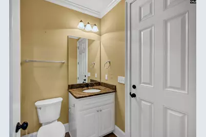 170 Summer Bay Drive, Chapin, SC 29036 - Photo 43