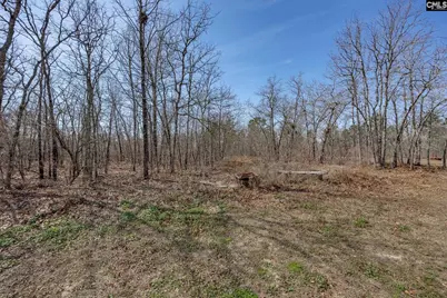 331 Freeman Drive, Gaston, SC 29053 - Photo 35