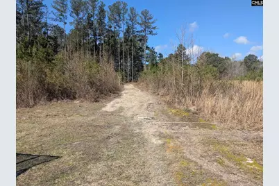 2566 William Brunson Crossroads, Summerton, SC 29148 - Photo 5