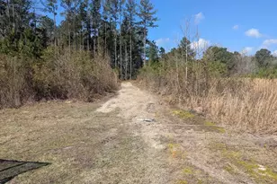 2566 William Brunson Crossroads, Summerton, SC 29148 - Photo 5