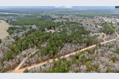 120 Stonewall Jackson Road, Wagener, SC 29164 - Photo 35