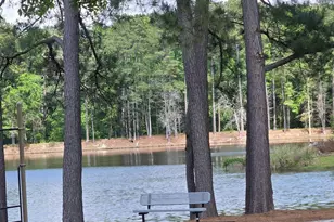 10 Canvasback Ct, Blythewood, SC 29016 - Photo 17