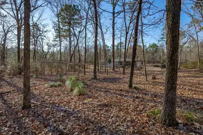 532 Burns Drive, Swansea, SC 29160 - Photo 39