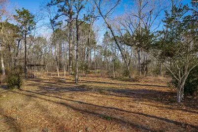 532 Burns Drive, Swansea, SC 29160 - Photo 37