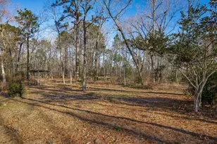 532 Burns Dr, Swansea, SC 29160 - Photo 37