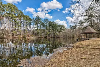 240 Turkey Farm Road, Blythewood, SC 29016 - Photo 49