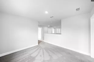 6 Borland Ct, Chapin, SC 29036 - Photo 25