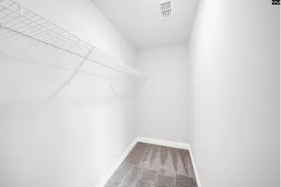 6 Borland Court, Chapin, SC 29036 - Photo 31