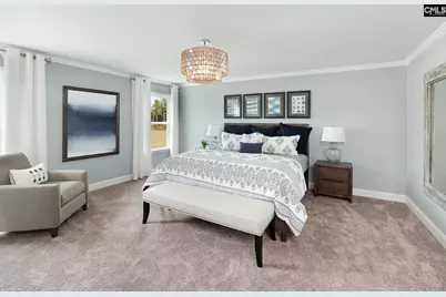 6 Borland Court, Chapin, SC 29036 - Photo 11