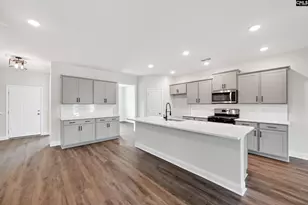 6 Borland Ct, Chapin, SC 29036 - Photo 11