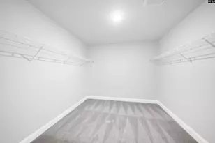 6 Borland Ct, Chapin, SC 29036 - Photo 43