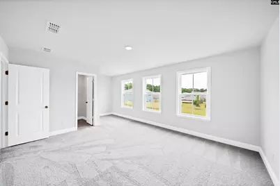 6 Borland Court, Chapin, SC 29036 - Photo 33