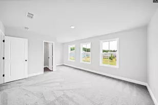 6 Borland Ct, Chapin, SC 29036 - Photo 35