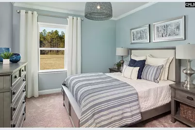 6 Borland Court, Chapin, SC 29036 - Photo 13