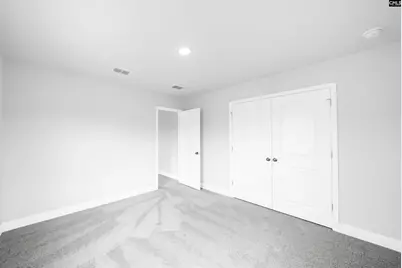 6 Borland Court, Chapin, SC 29036 - Photo 27