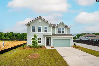 6 Borland Court, Chapin, SC 29036 - Photo 55
