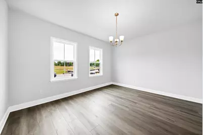 6 Borland Court, Chapin, SC 29036 - Photo 7