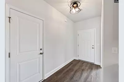 6 Borland Court, Chapin, SC 29036 - Photo 5