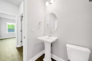 6 Borland Ct, Chapin, SC 29036 - Photo 21