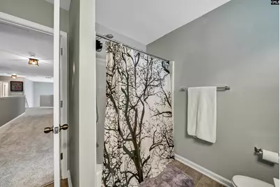 224 Millwright Drive, Lexington, SC 29072 - Photo 33