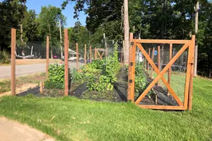 1317 Shore Rd, Gilbert, SC 29054 - Photo 63