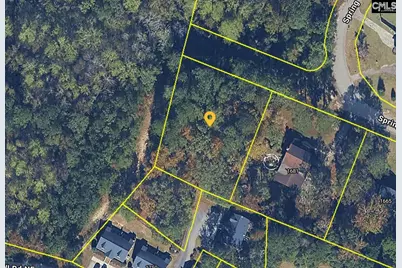 0 Spring Valley, Orangeburg, SC 29115 - Photo 1