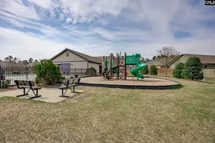 820 Dutchmaster Dr, Chapin, SC 29036 - Photo 49