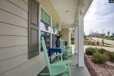 820 Dutchmaster Drive, Chapin, SC 29036 - Photo 3