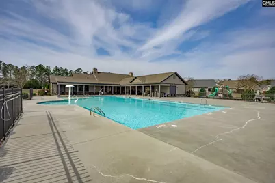 820 Dutchmaster Drive, Chapin, SC 29036 - Photo 47