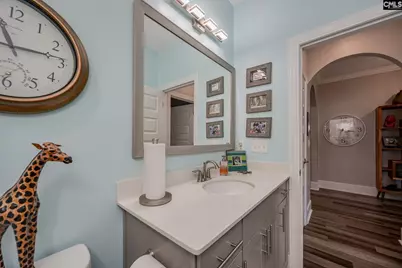 820 Dutchmaster Drive, Chapin, SC 29036 - Photo 35