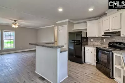 228 Water Tank Road, Pelion, SC 29123 - Photo 3