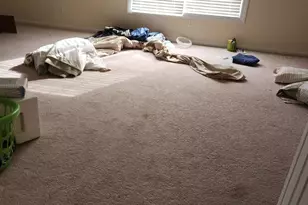 341 Laurel Rise Ln, Columbia, SC 29229 - Photo 9