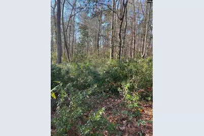 15 Derby Lane, Lugoff, SC 29078 - Photo 15