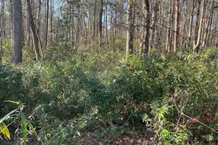 15 Derby Ln, Lugoff, SC 29078 - Photo 15