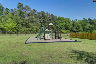 436 N Cobia Court, Irmo, SC 29063 - Photo 17