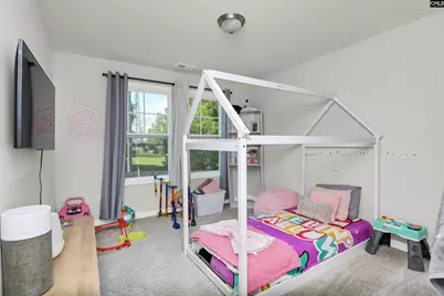 436 N Cobia Court, Irmo, SC 29063 - Photo 11