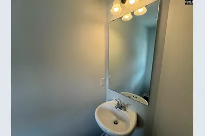 287 Brando Way, Columbia, SC 29223 - Photo 3