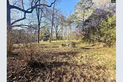 113 Duke Avenue, Columbia, SC 29203 - Photo 11