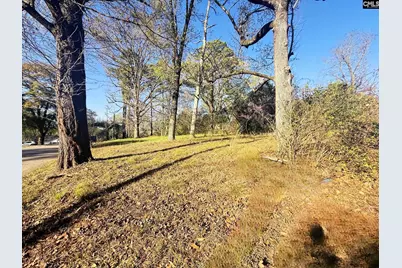 113 Duke Avenue, Columbia, SC 29203 - Photo 5