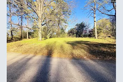 113 Duke Avenue, Columbia, SC 29203 - Photo 1