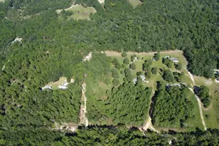 Bubba Gunter Rd, Wagener, SC 29164 - Photo 1