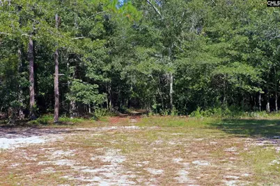 Bubba Gunter Road, Wagener, SC 29164 - Photo 9