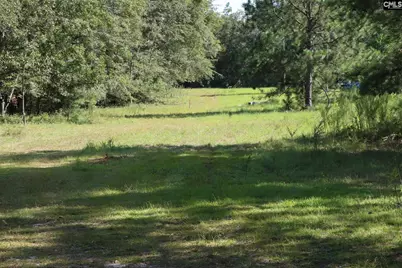 Bubba Gunter Road, Wagener, SC 29164 - Photo 11