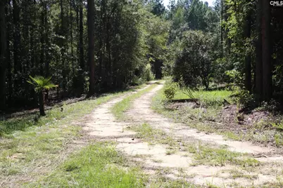 Bubba Gunter Road, Wagener, SC 29164 - Photo 5